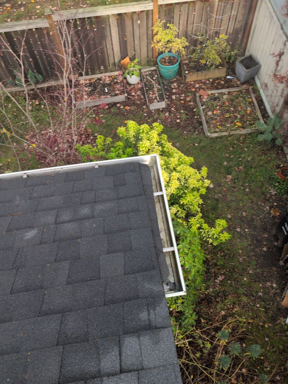 Corner of a shingle roof in Wallingford with a clean, empty white gutter running along two sides, the backyard with raised beds and a potted plant below