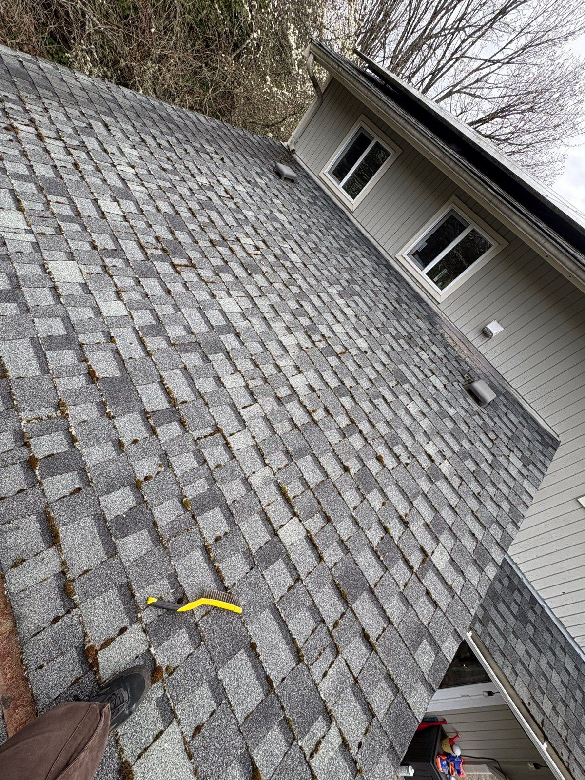 Composition roof in Rainier Valley with moss in the shingle seams, a yellow roof brush lying on the shingles and a technician's boot at the eave, the house's upper windows and a bare spring tree behind