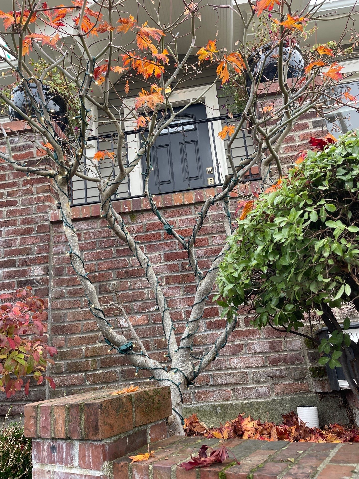 Renova Exteriors service in Auburn