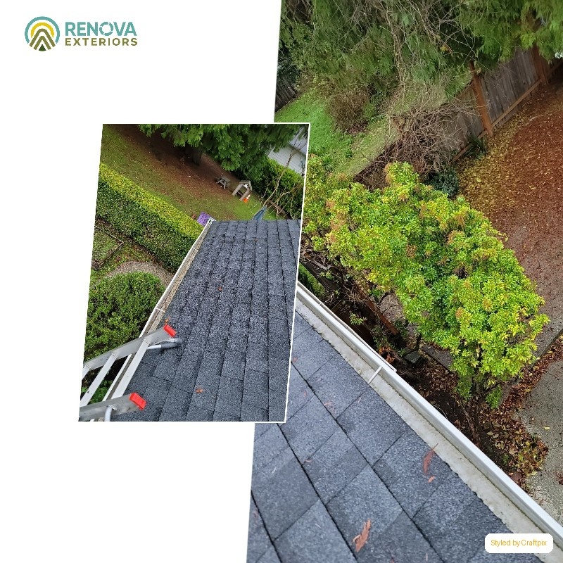 Renova Exteriors service in Bellevue Solar Panel Cleaning