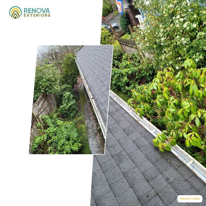 Renova Exteriors service in Columbia City