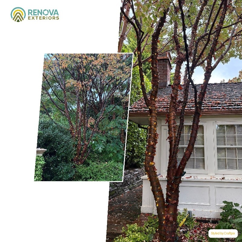 Renova Exteriors service in Lynnwood