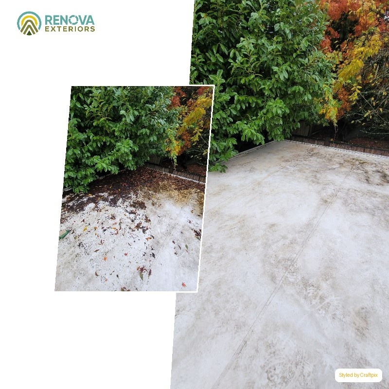 Renova Exteriors service in North Seattle