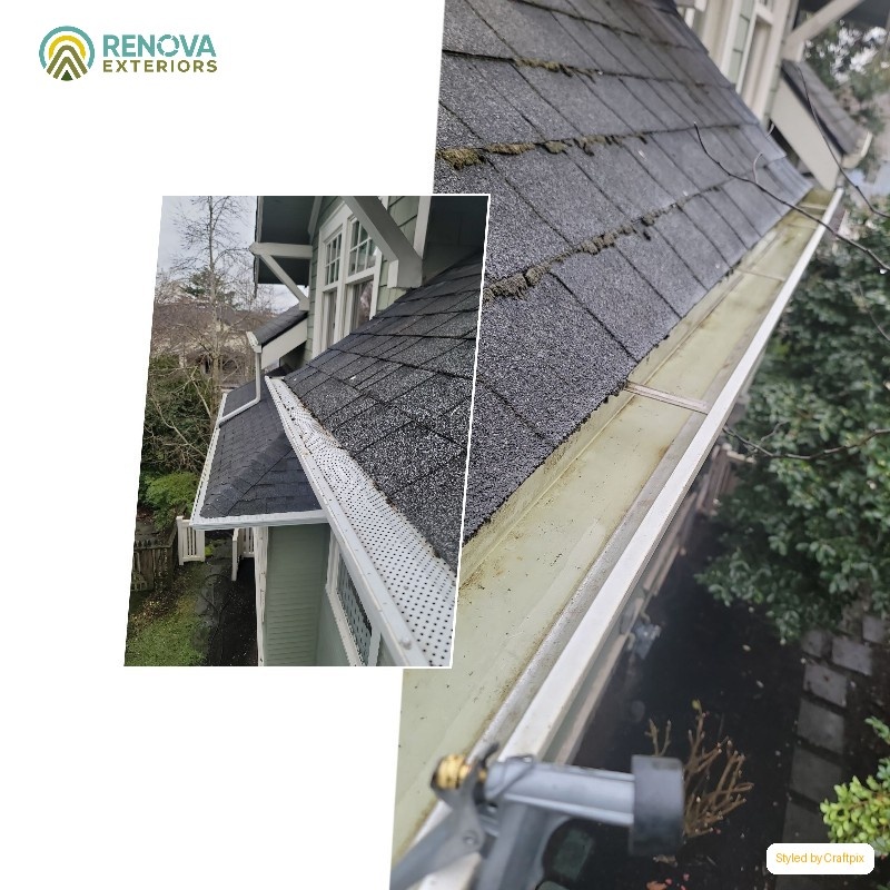Renova Exteriors service in Rainier Valley