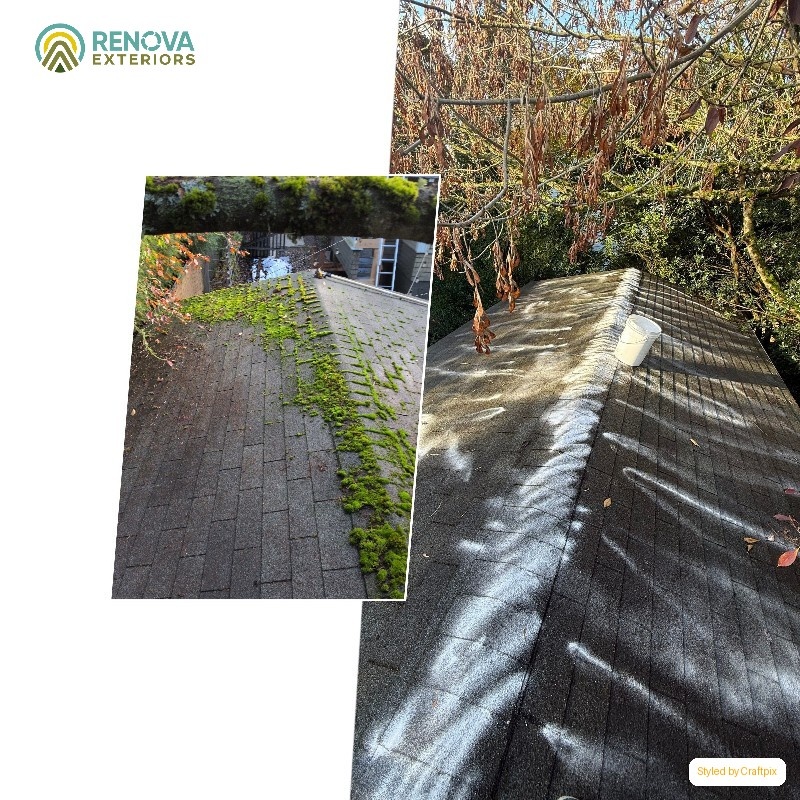 Renova Exteriors service in Ravenna