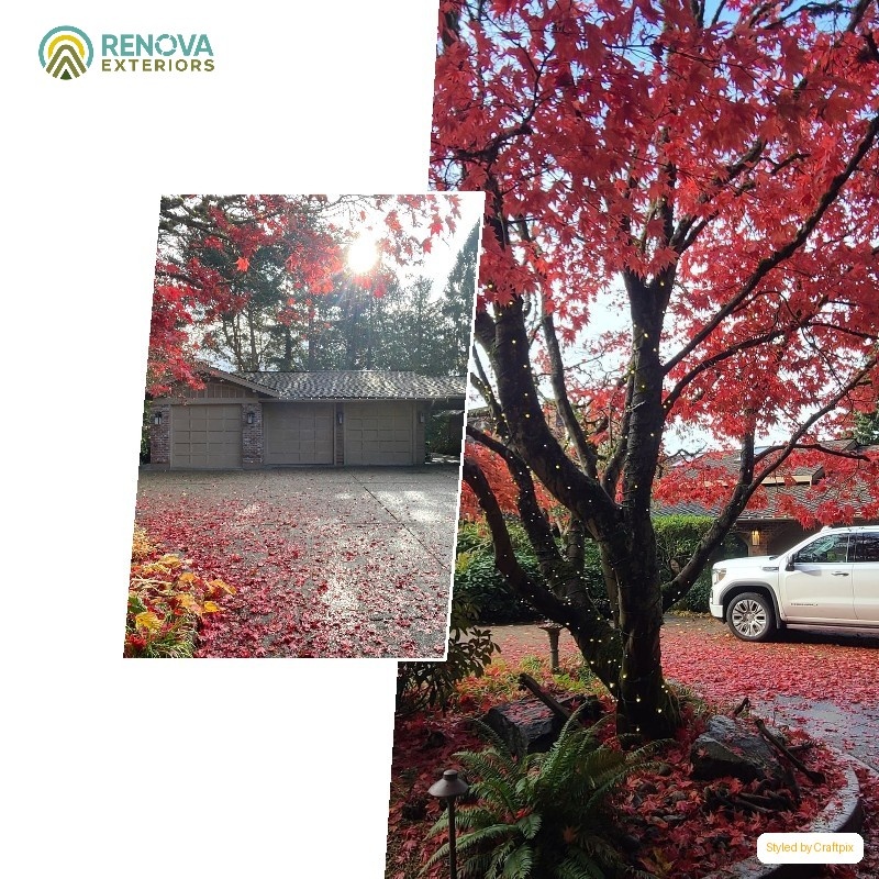 Renova Exteriors service in Woodway