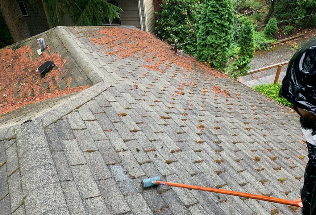 roof cleaning for the winter
