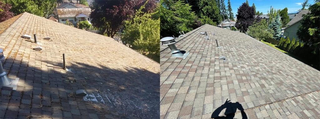 roof cleaning